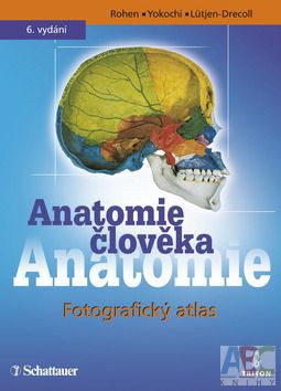 Anatomický atlas - Schattaueruv, 6.vydanie: Rohen, Yokochi, Lutjen Cena: 99€  